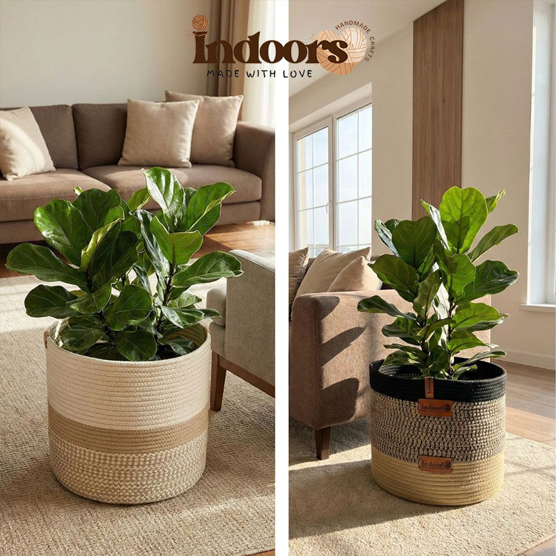 Storage & Planter Basket
